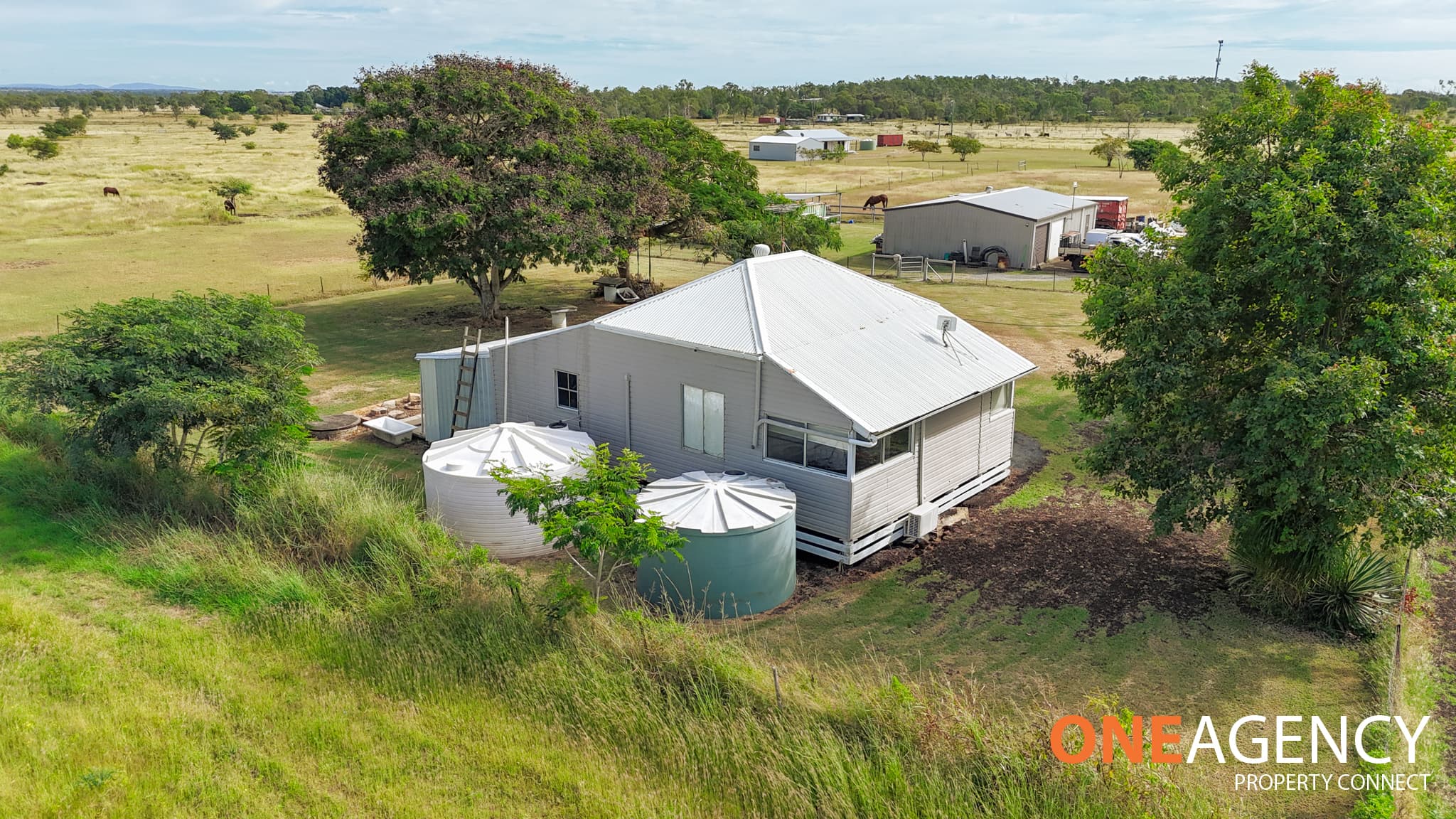 1324 Ridgelands Road, Alton Downs, Alton Downs - Thumbnail 3