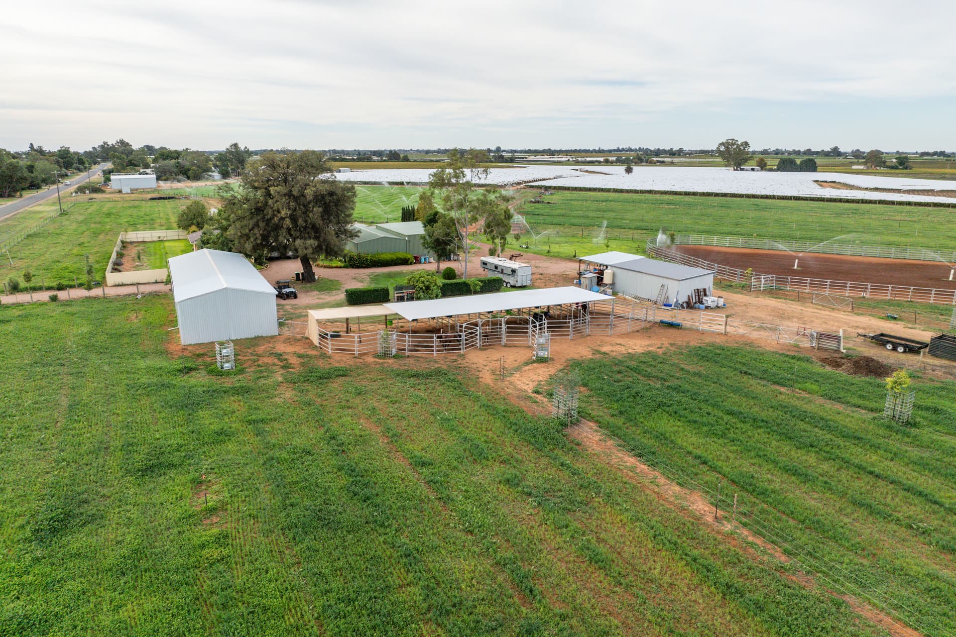 183 Boobook Avenue, Red Cliffs, Red Cliffs - Thumbnail 4