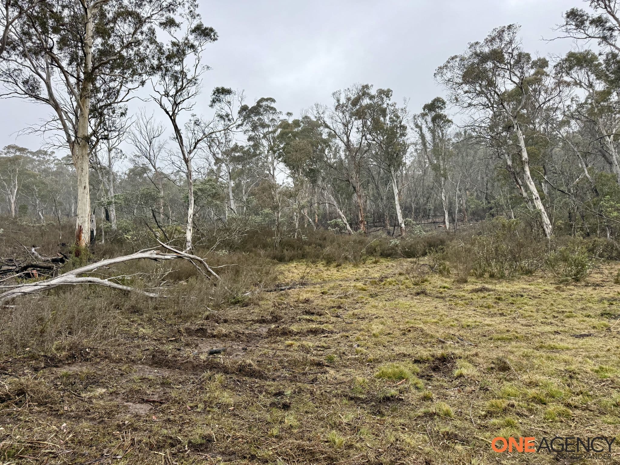 1830 Dangelong Road, Kybeyan, Kybeyan - Thumbnail 4