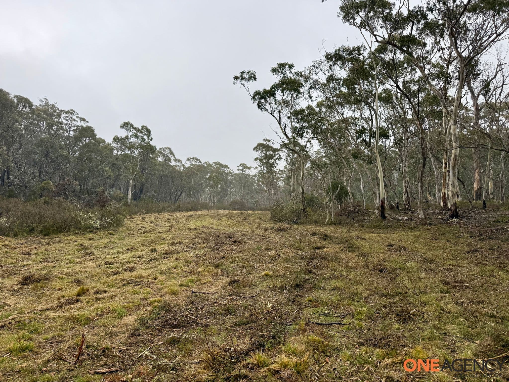 1830 Dangelong Road, Kybeyan, Kybeyan - Thumbnail 5