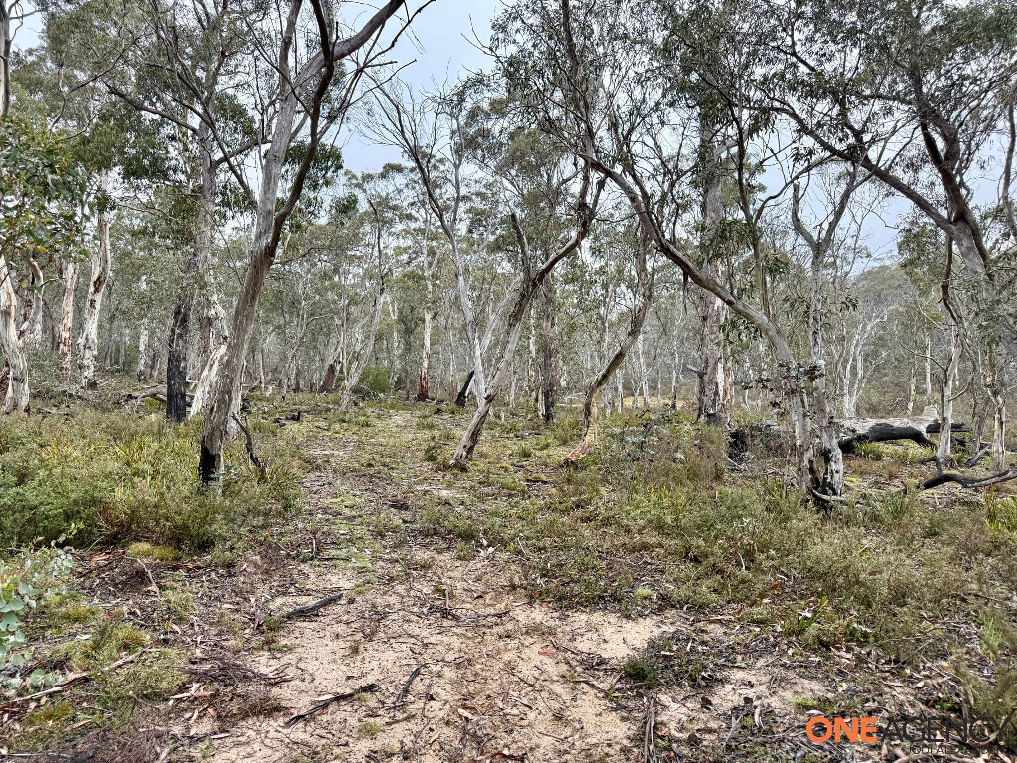 1830 Dangelong Road, Kybeyan, Kybeyan - Thumbnail 7