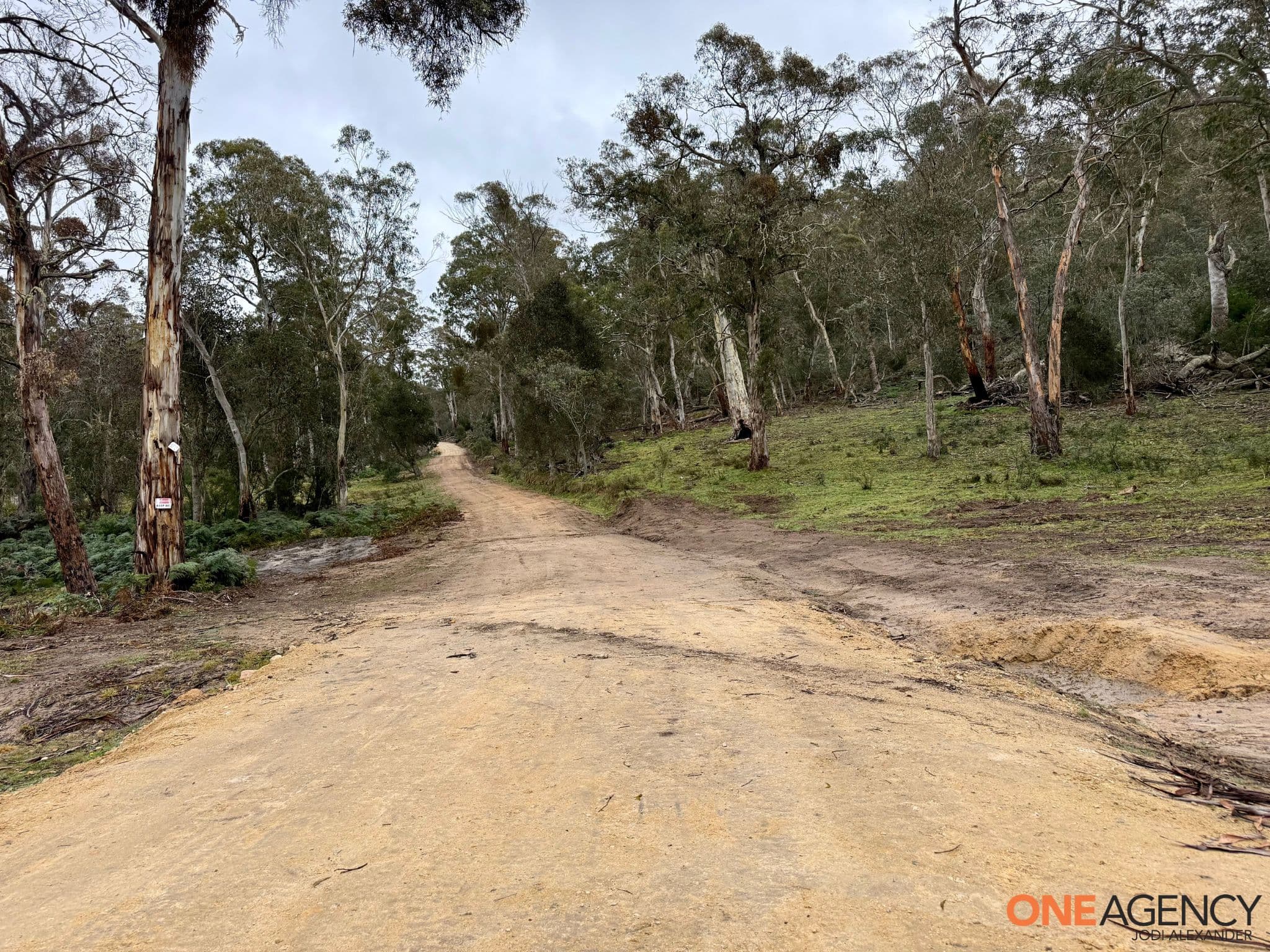 1830 Dangelong Road, Kybeyan, Kybeyan - Image 1