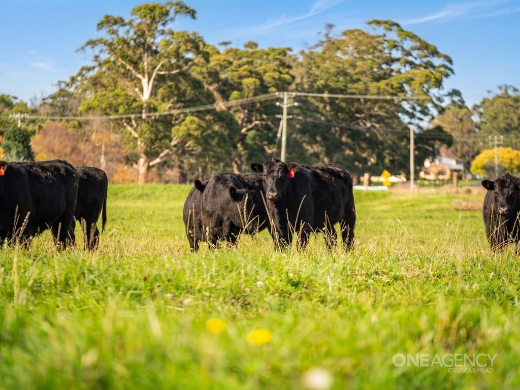 101 Trowutta Road, Smithton, Smithton - Thumbnail 8
