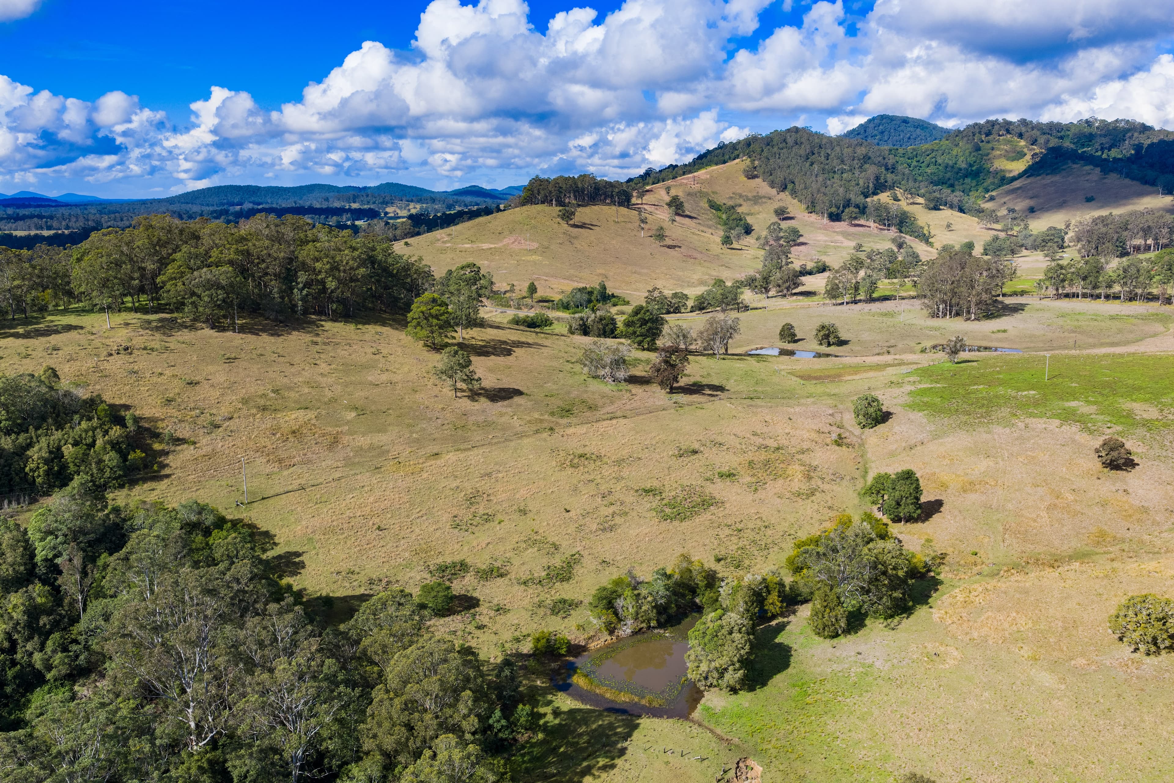 808 Willina Road, Willina, NSW 2423, Willina - Thumbnail 2
