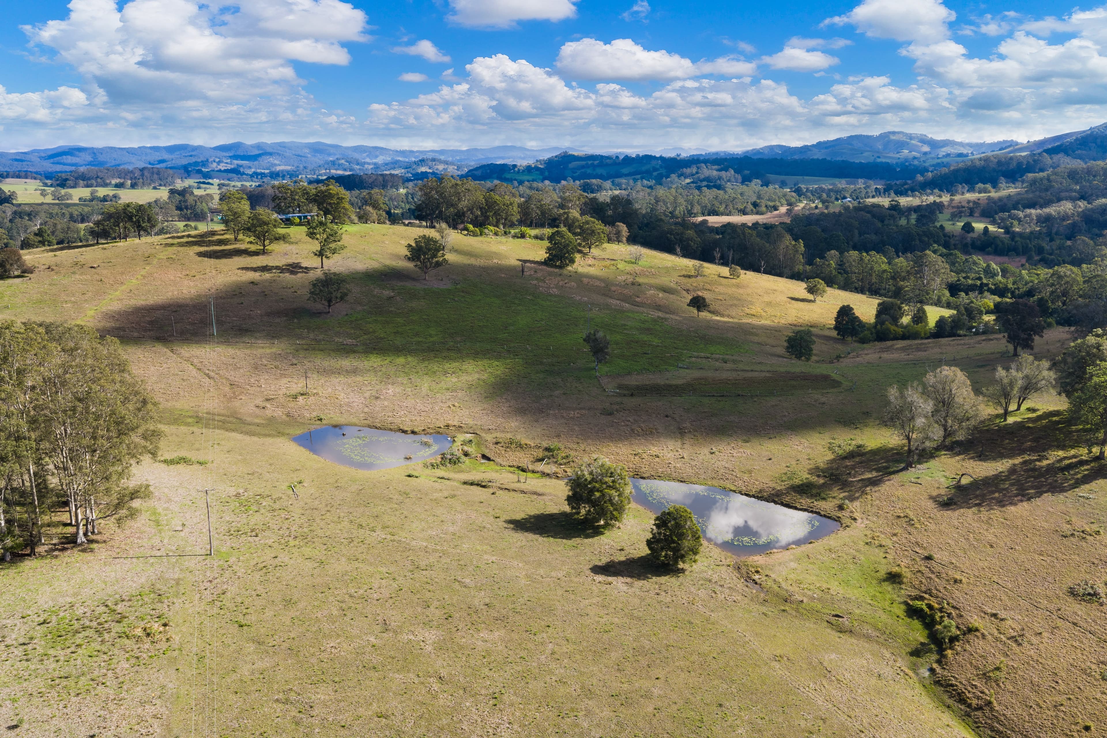 808 Willina Road, Willina, NSW 2423, Willina - Thumbnail 4