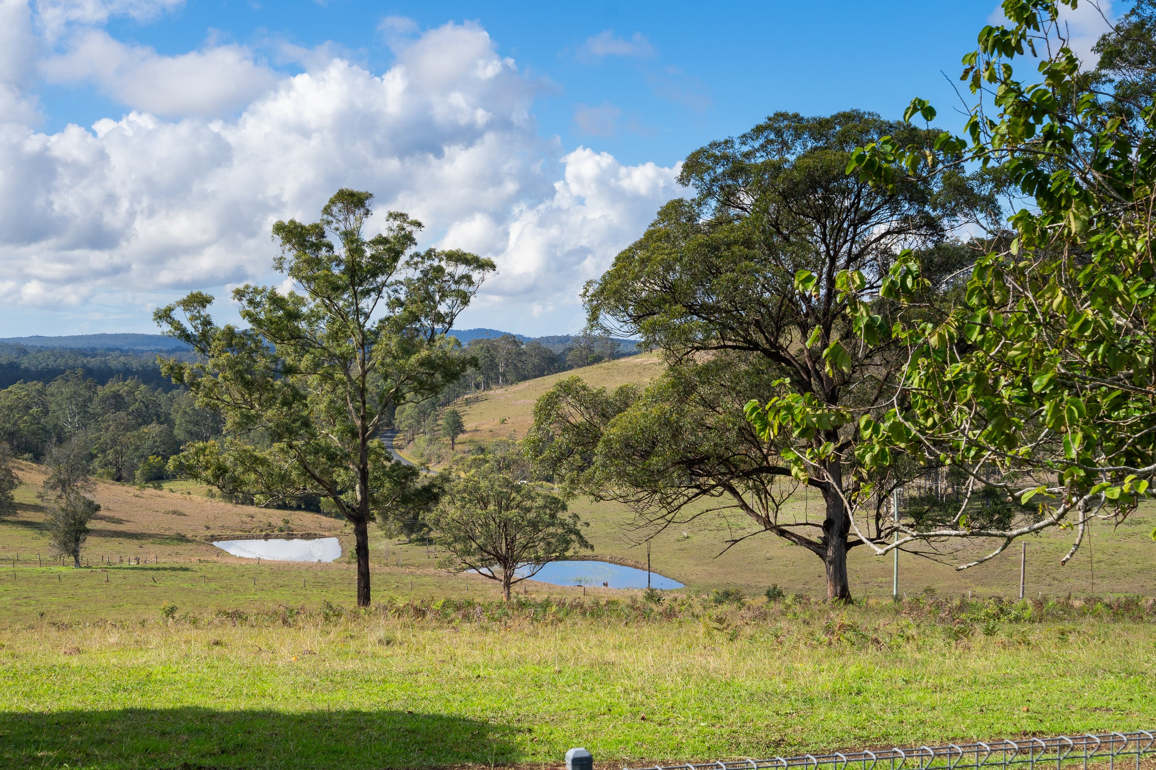 808 Willina Road, Willina, NSW 2423, Willina - Thumbnail 6