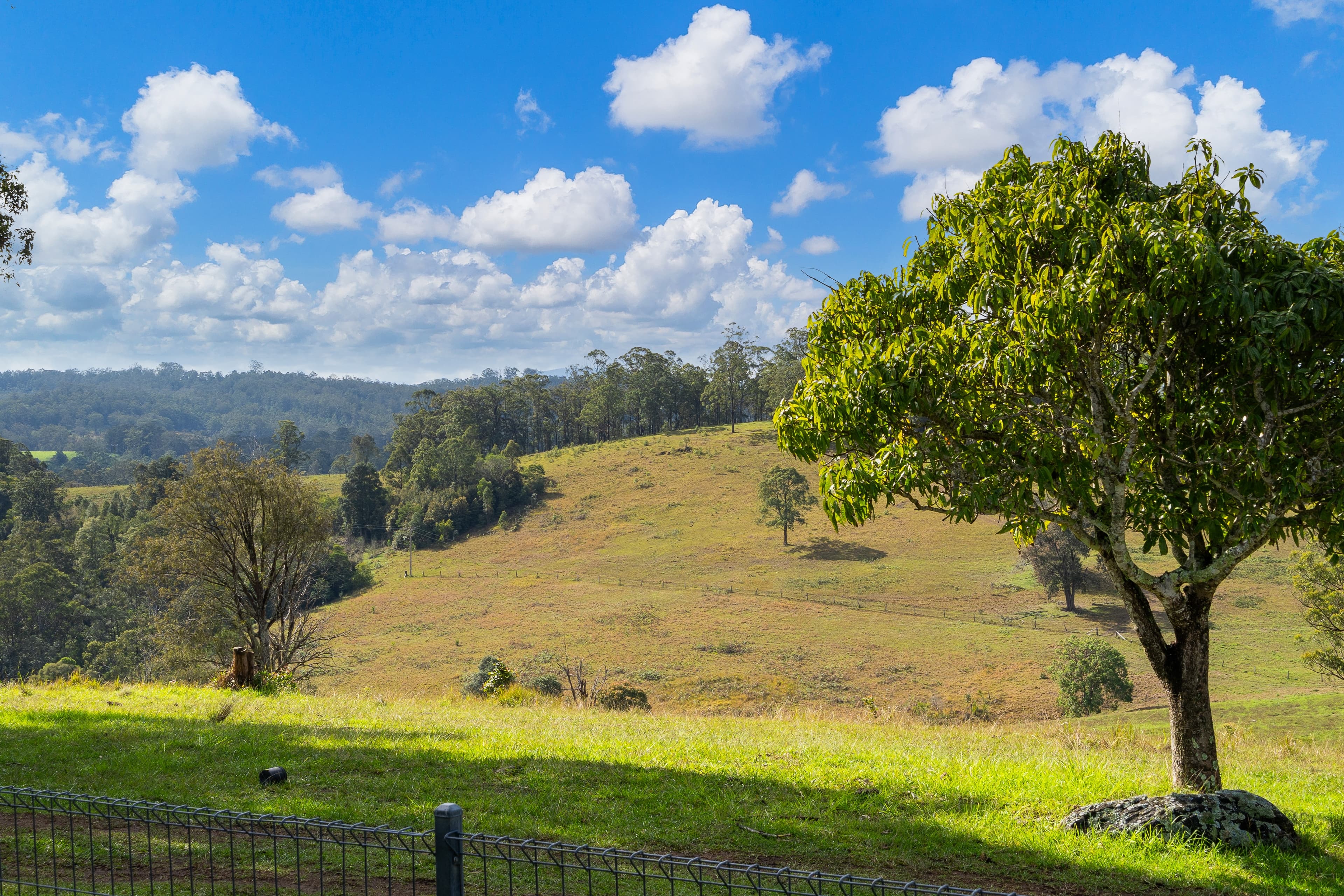 808 Willina Road, Willina, NSW 2423, Willina - Thumbnail 7