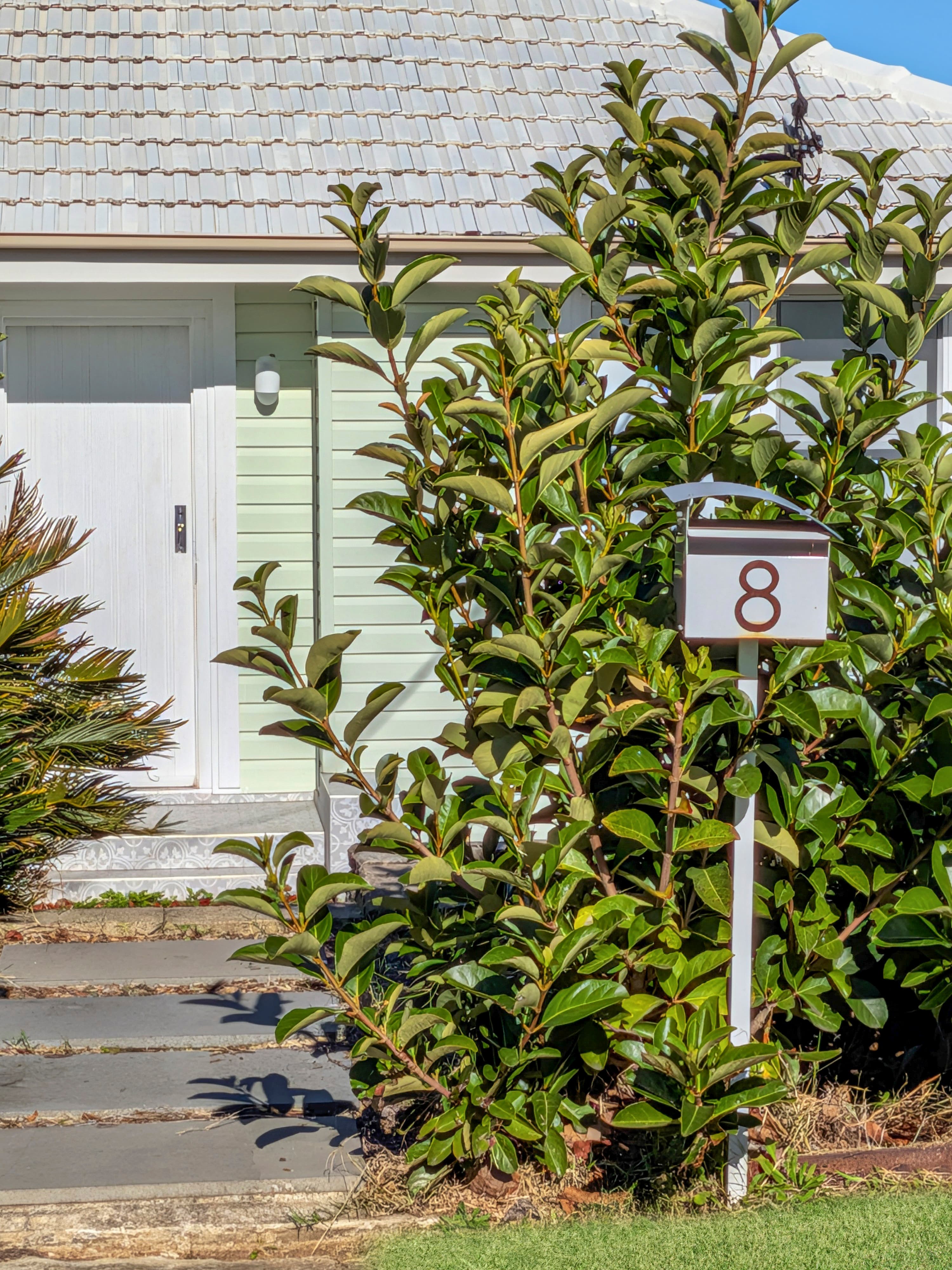 8 Albert Street, Lake Illawarra, NSW 2528, Lake Illawarra - Thumbnail 2