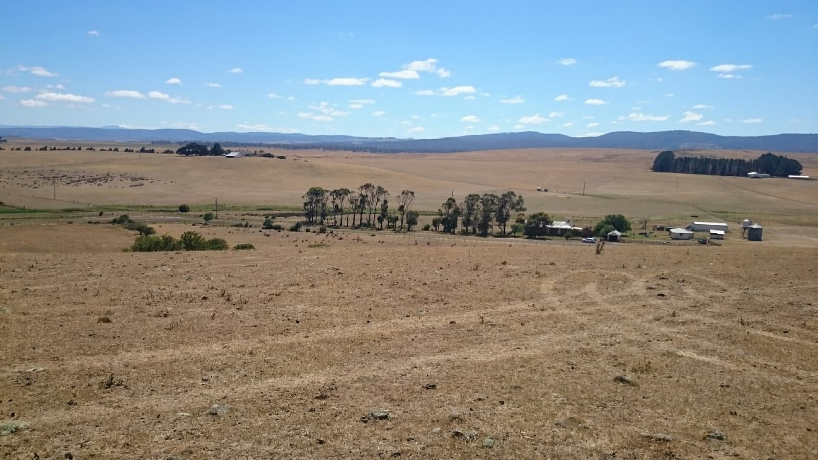 50 High Street, Ross, Ross - Image 1