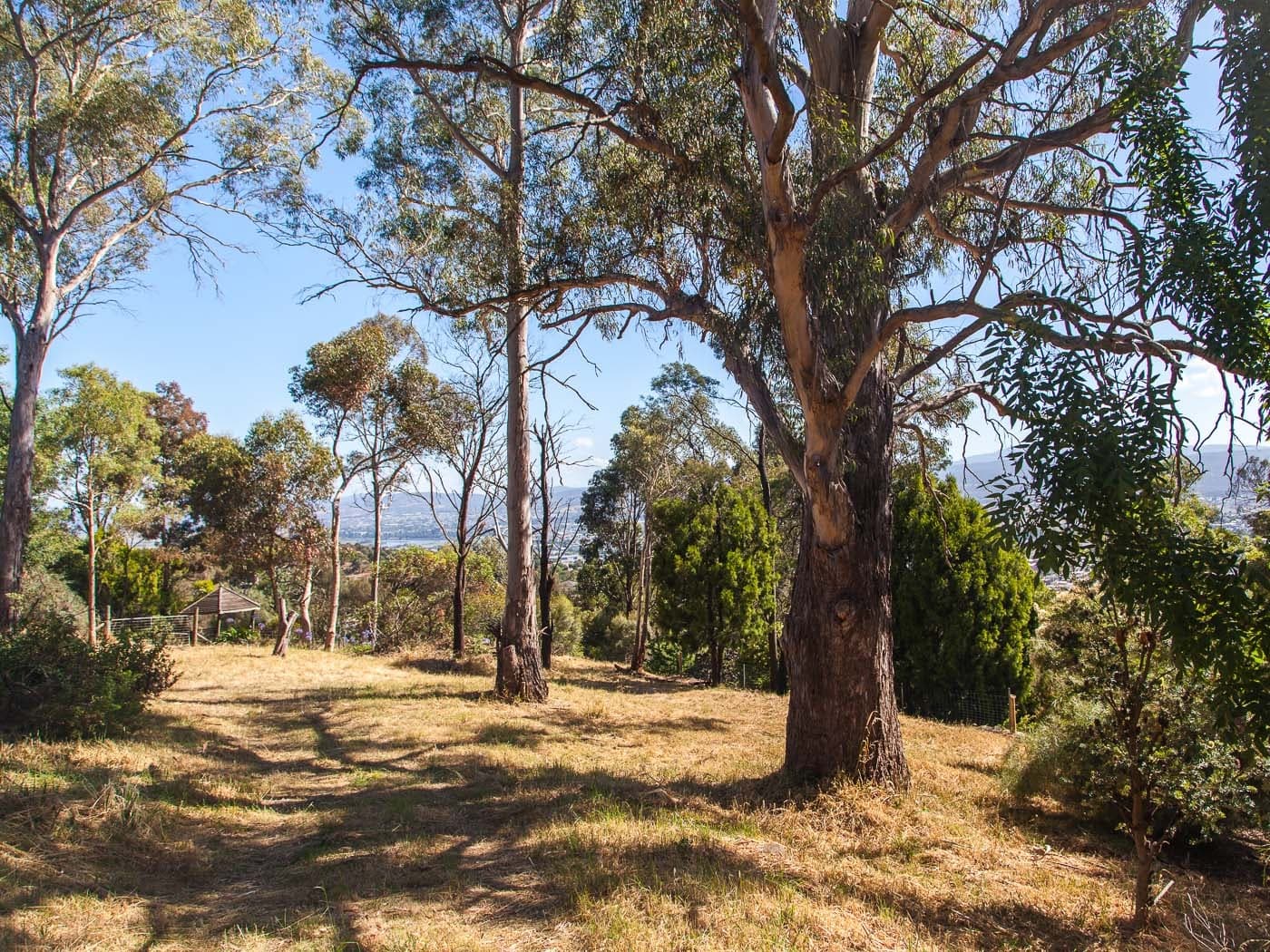 37 Wilhelmina Avenue, West Launceston, West Launceston - Thumbnail 2