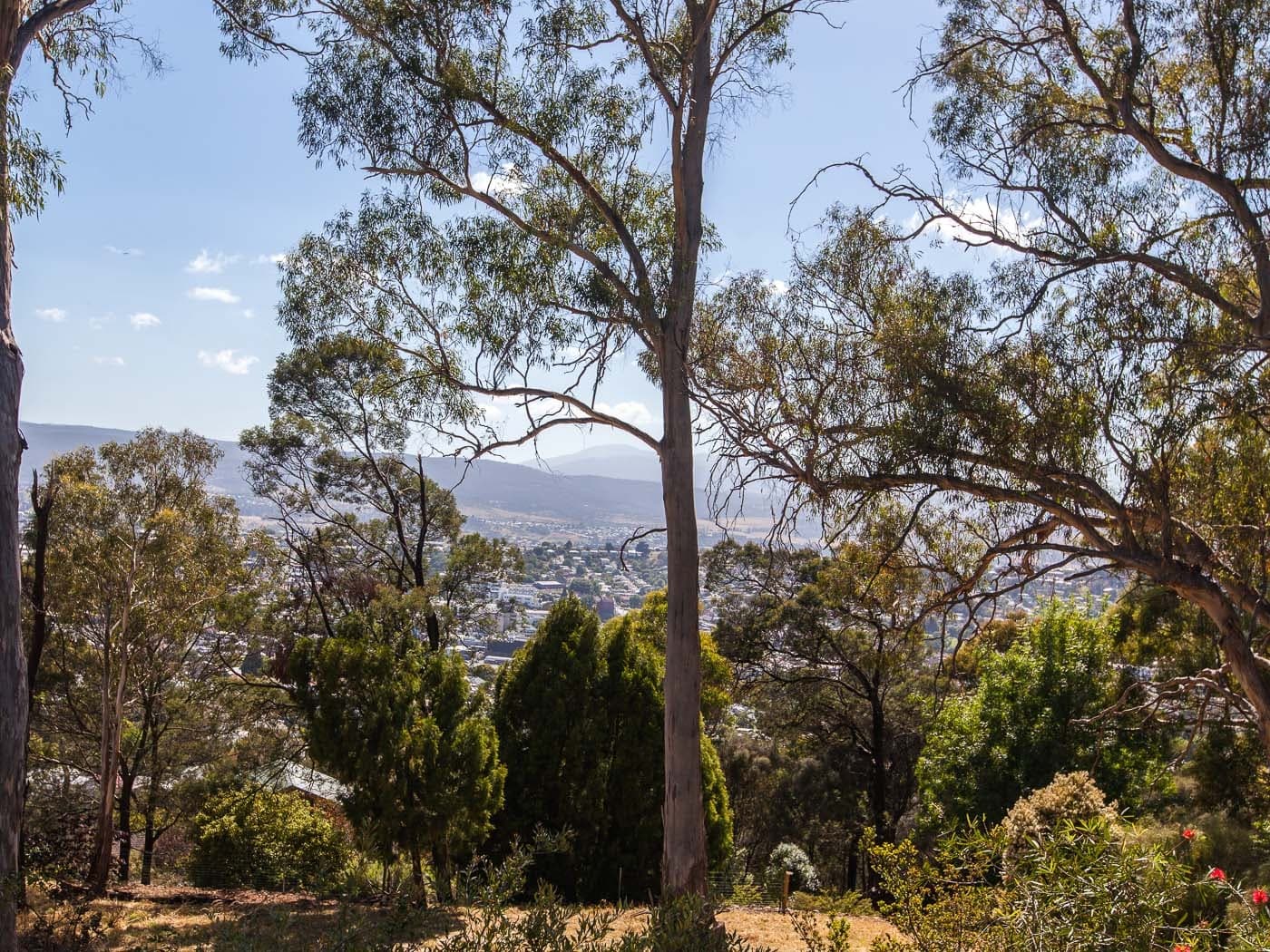 37 Wilhelmina Avenue, West Launceston, West Launceston - Thumbnail 6
