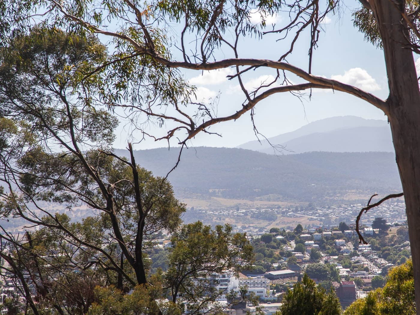 37 Wilhelmina Avenue, West Launceston, West Launceston - Thumbnail 7