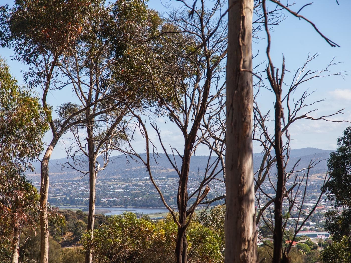 37 Wilhelmina Avenue, West Launceston, West Launceston - Image 1