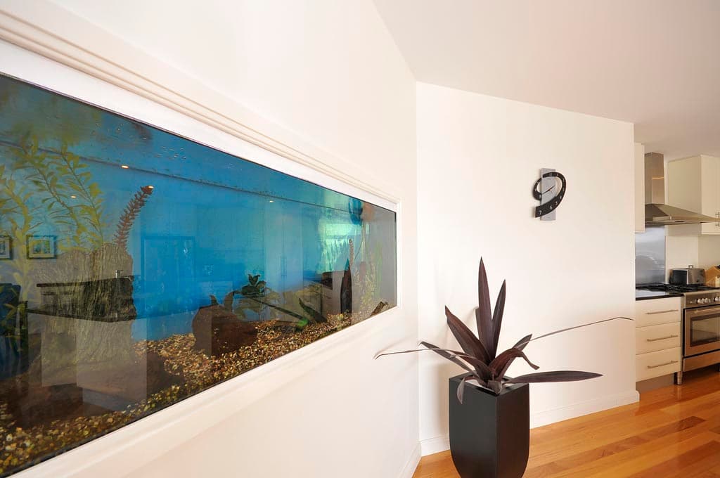 2 Waterview Court, Legana, Legana - Thumbnail 2