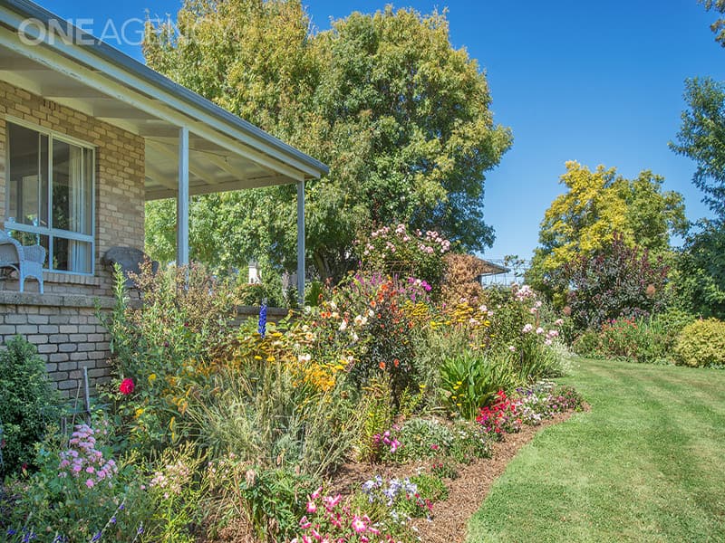 1521 Cressy Road, Cressy, Cressy - Thumbnail 8