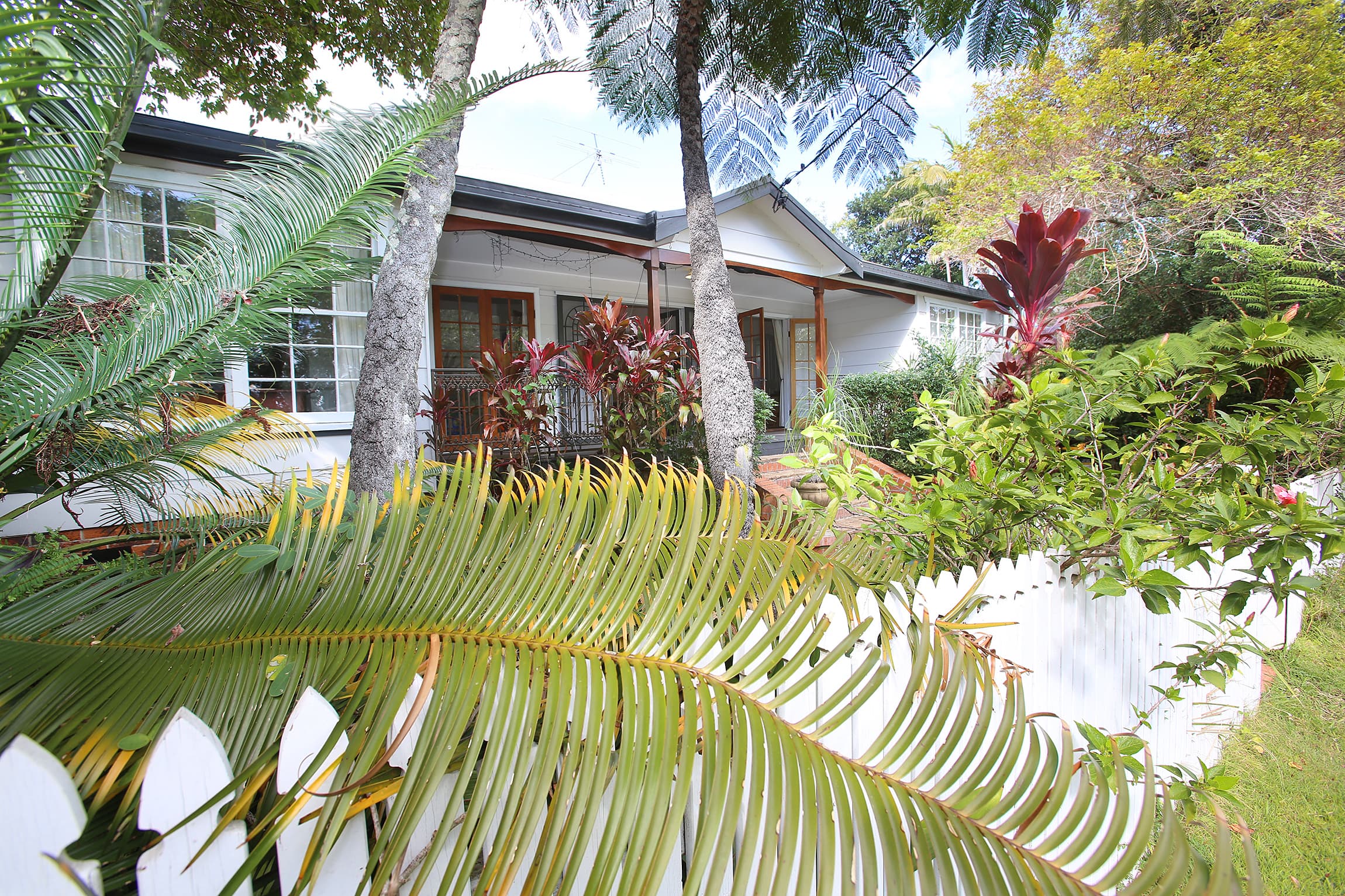 36 Mildura Street, Coffs Harbour, Coffs Harbour - Thumbnail 5