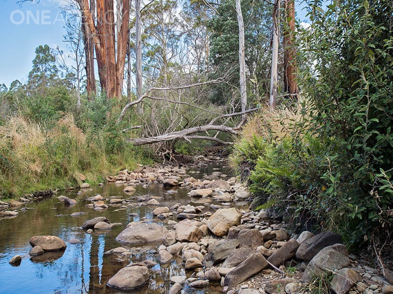 249 Underwood Road, Underwood, Underwood - Thumbnail 4