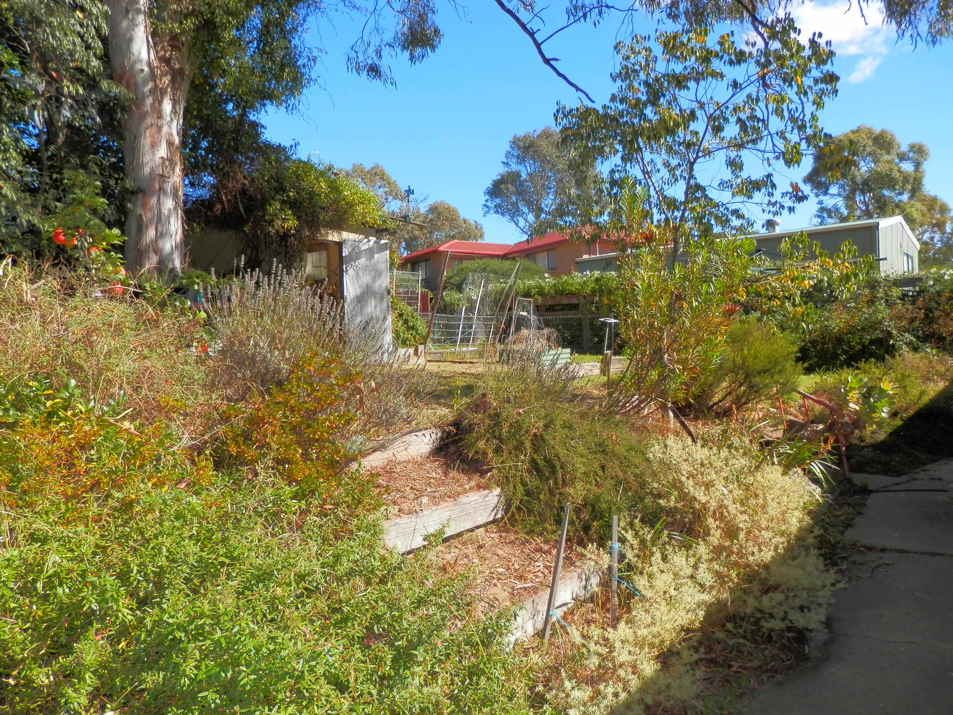 2 Balli Place, Cooma, Cooma - Thumbnail 4
