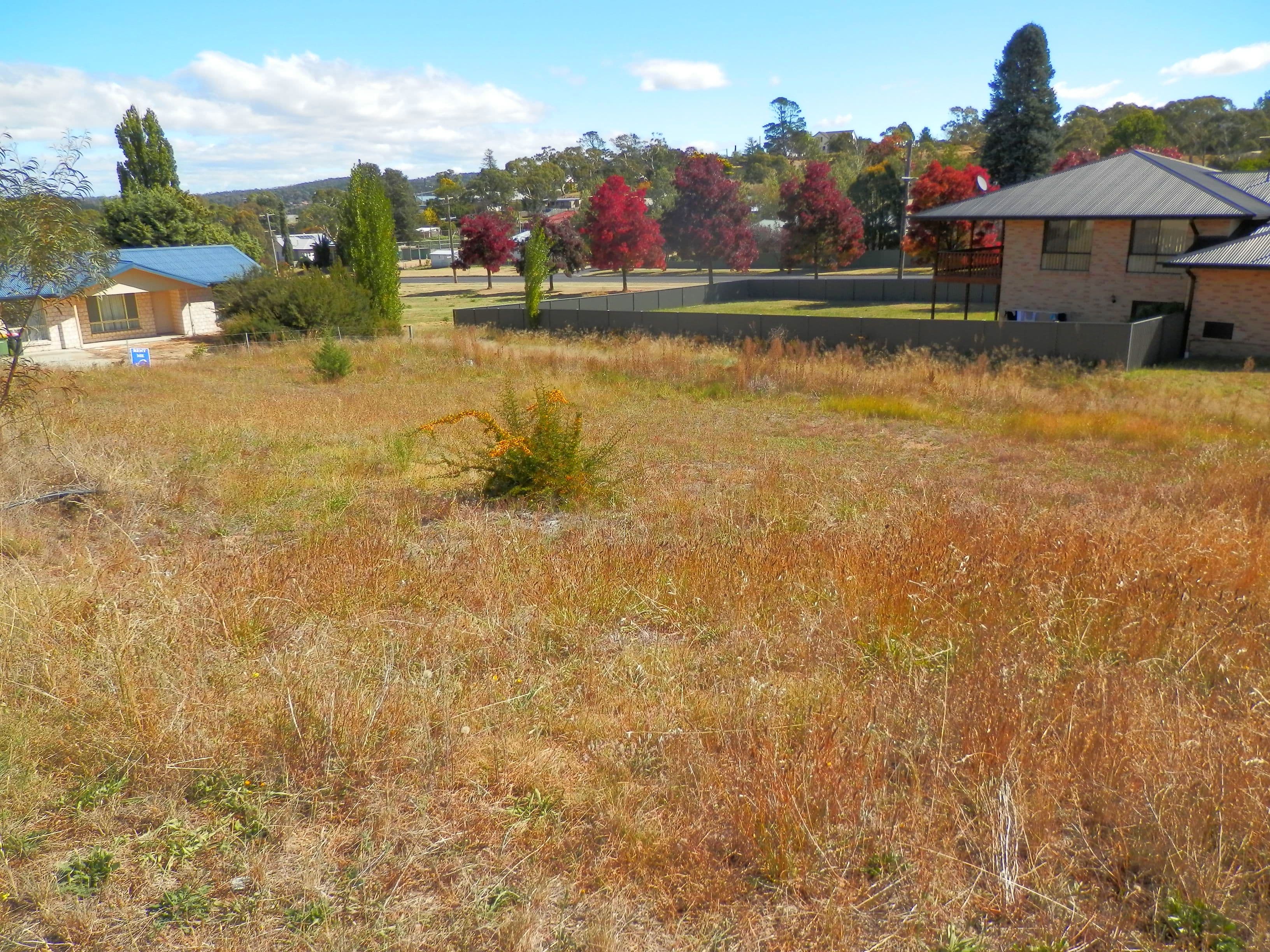 1/4 Rutledge Place, Cooma, Cooma - Thumbnail 6