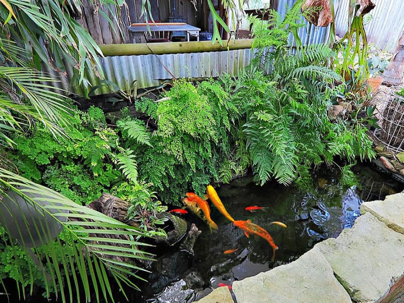 25 Stanley Street, Blacktown, Blacktown - Thumbnail 8
