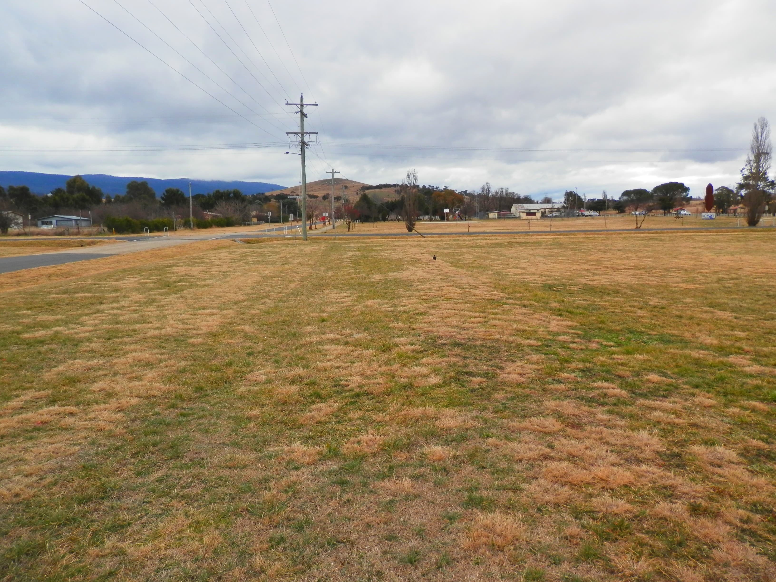 18 Walker Street, Bredbo, Bredbo - Thumbnail 7