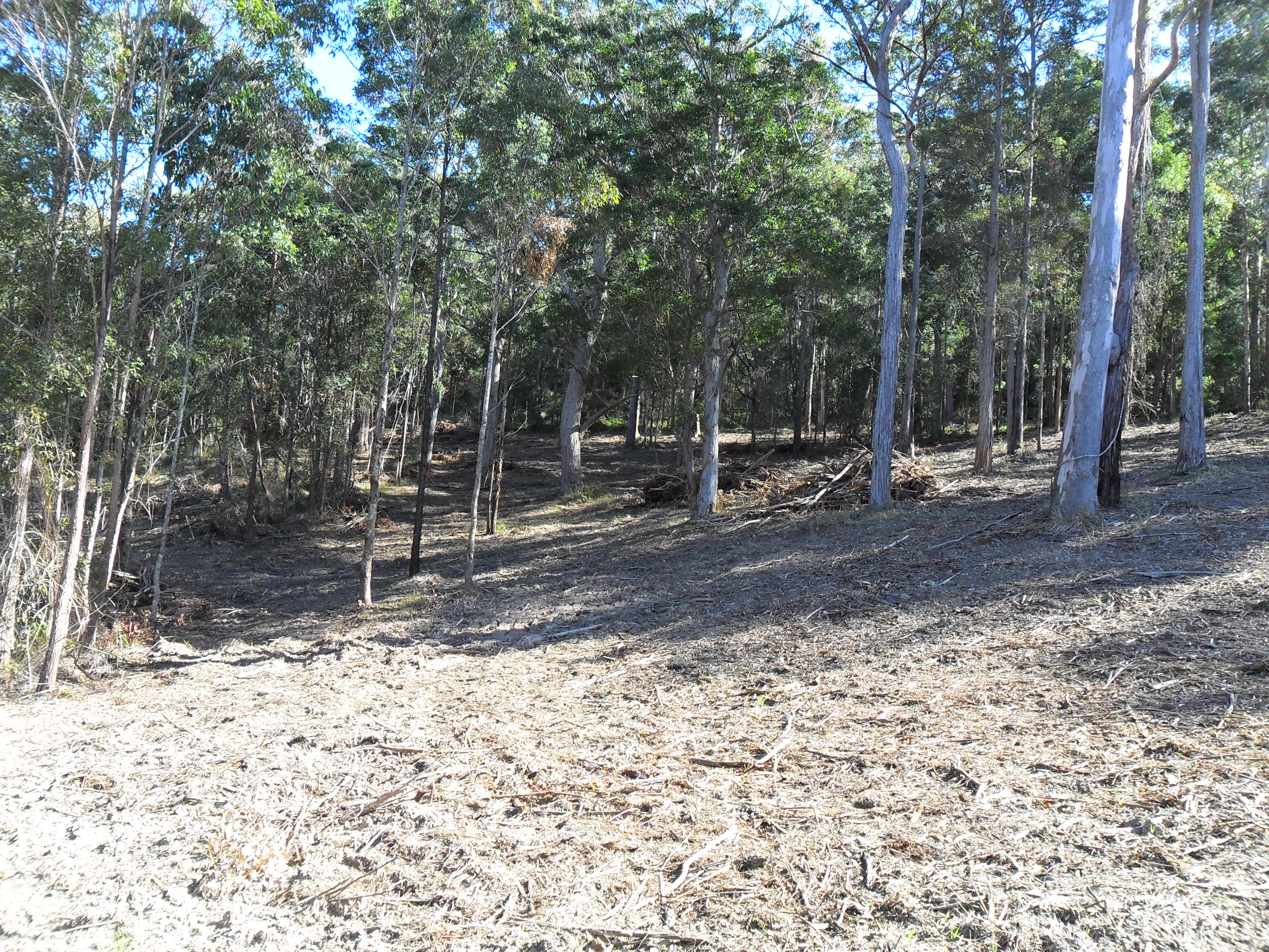 Lot 43 Benaroon Drive, Kendall, Kendall - Image 1