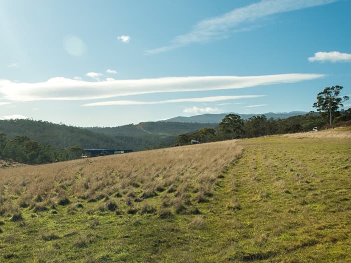8 White Gum Rise, St Leonards, St Leonards - Thumbnail 2