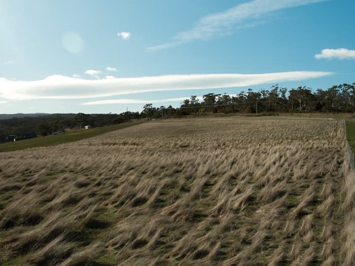 8 White Gum Rise, St Leonards, St Leonards - Thumbnail 3
