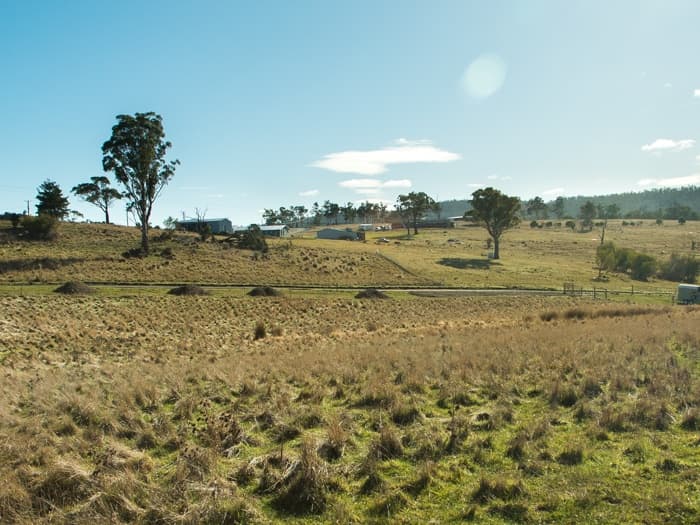 8 White Gum Rise, St Leonards, St Leonards - Thumbnail 4