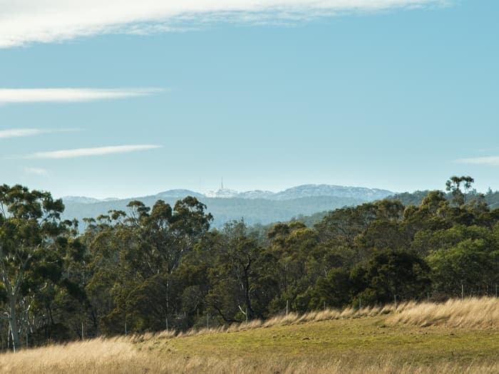 8 White Gum Rise, St Leonards, St Leonards - Thumbnail 5