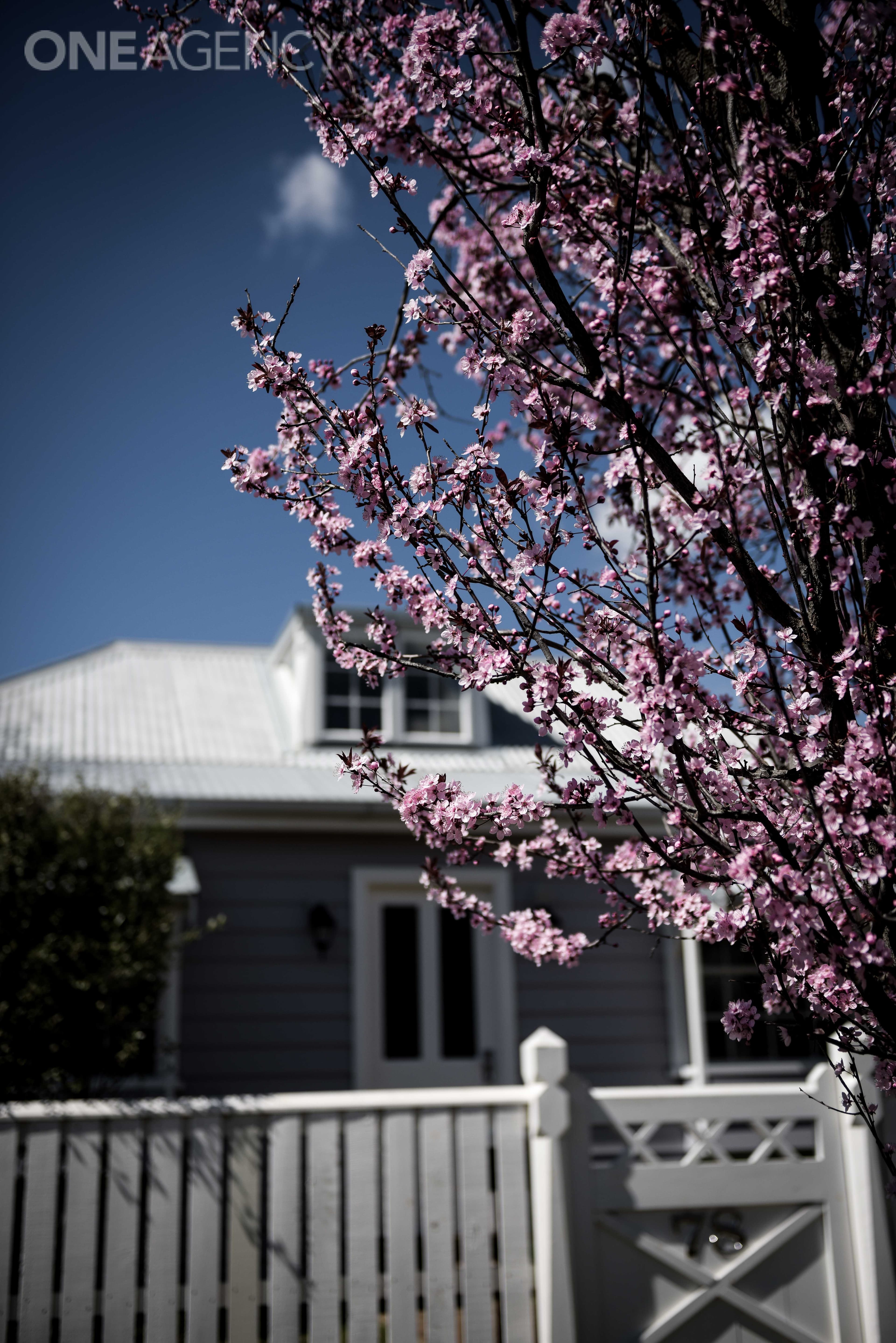 78 Cecil Road, Orange, Orange - Thumbnail 3