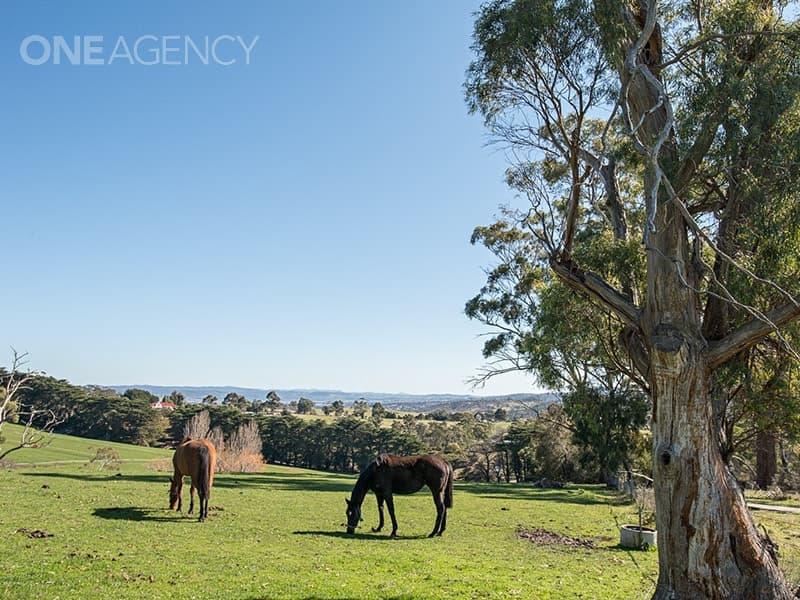 40580 Tasman Highway, St Leonards, St Leonards - Thumbnail 6
