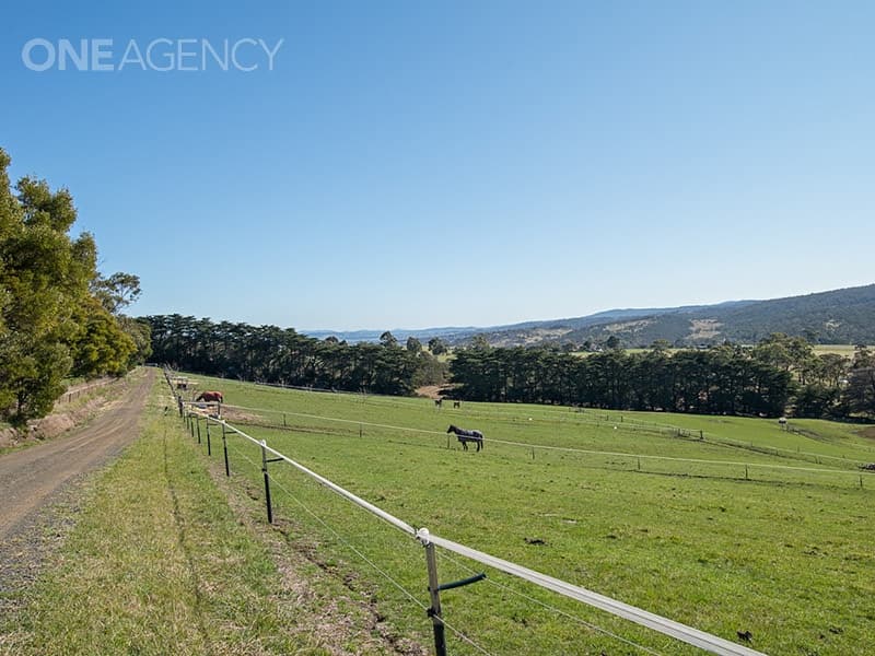 40580 Tasman Highway, St Leonards, St Leonards - Thumbnail 8