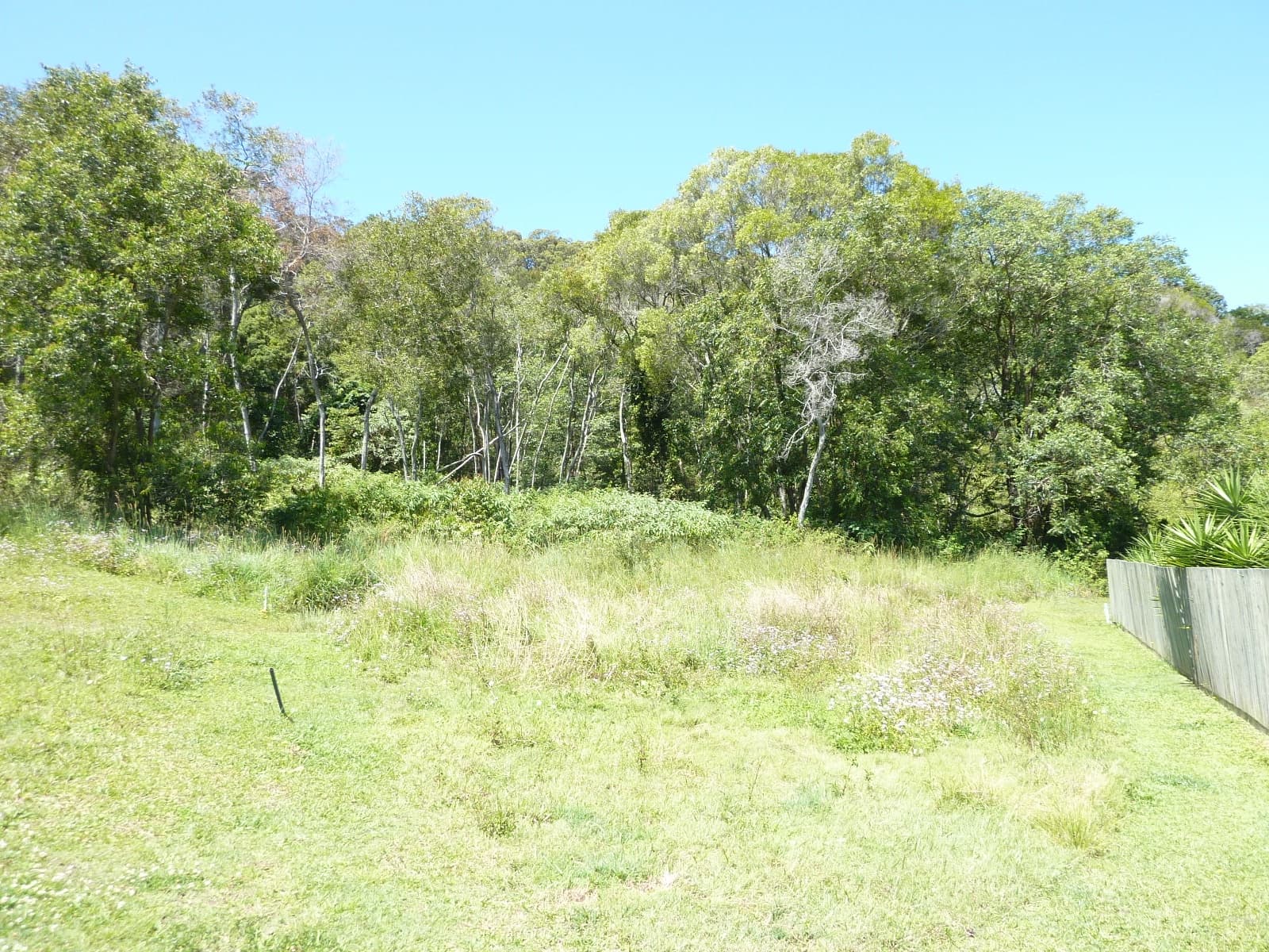 10 Jadie Court, Coolum Beach, Coolum Beach - Thumbnail 4