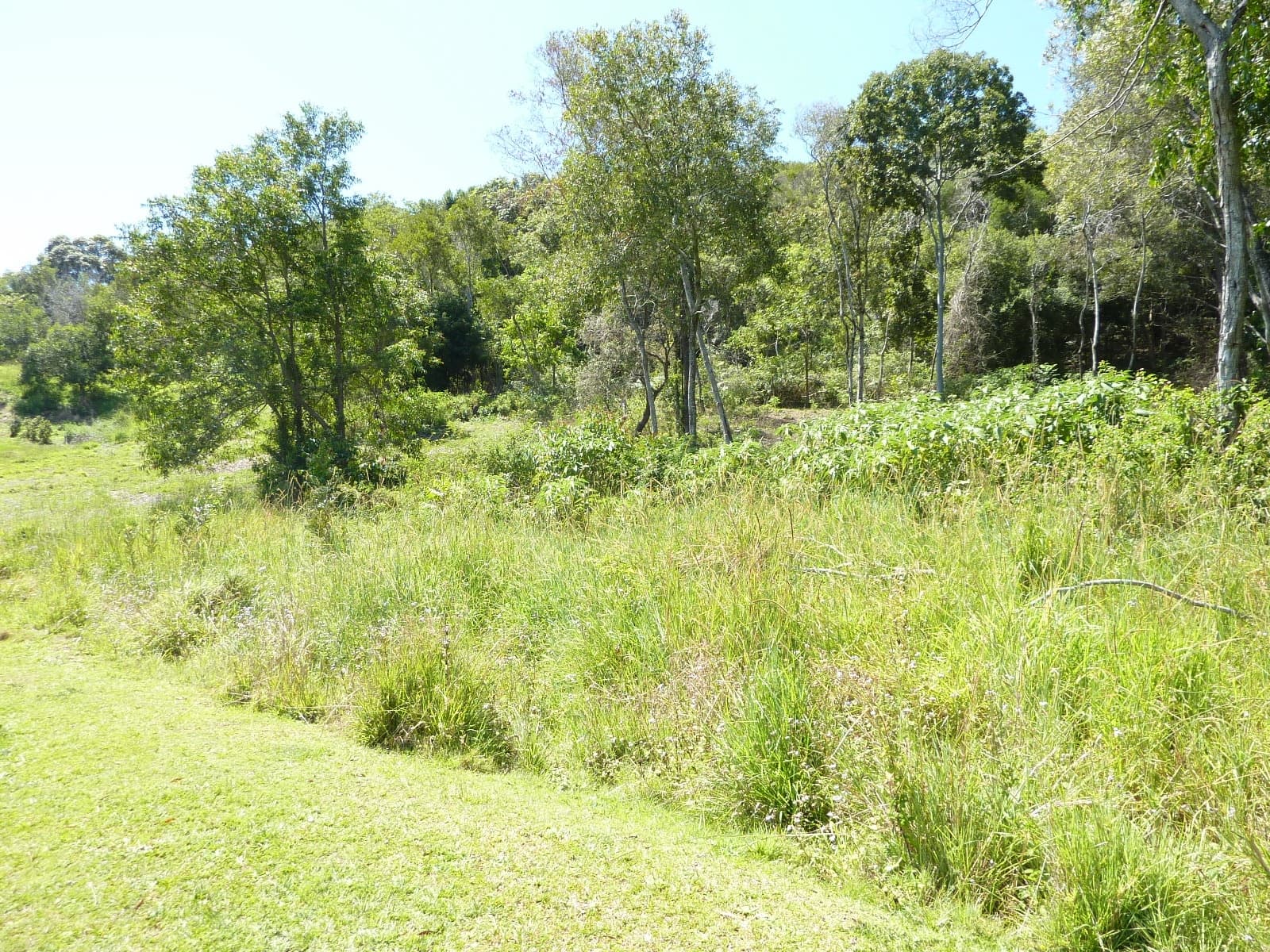 10 Jadie Court, Coolum Beach, Coolum Beach - Thumbnail 5