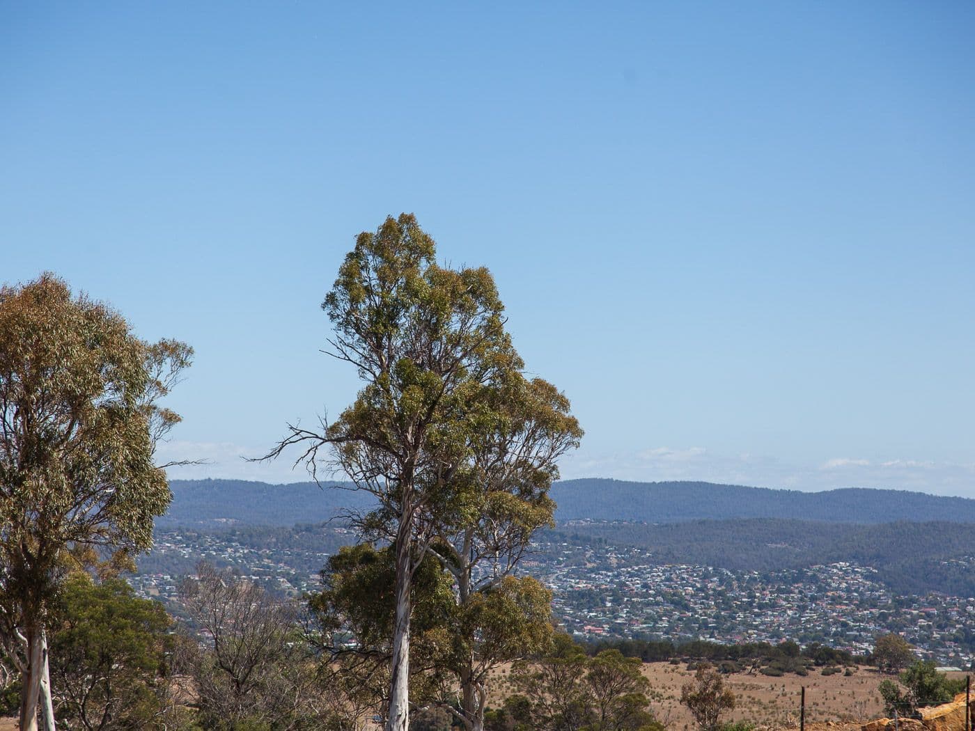 17 Escarpment Drive, St Leonards, St Leonards - Thumbnail 4