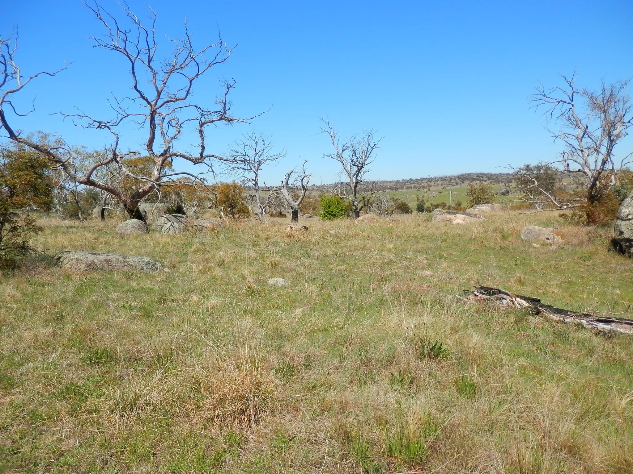 209 Dalgety Road, Berridale, Berridale - Thumbnail 4