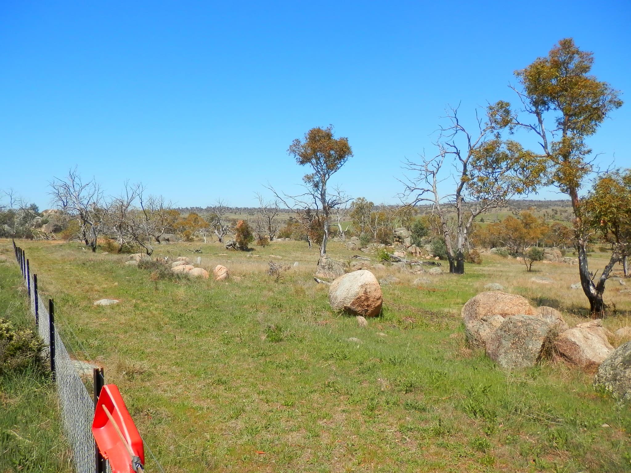 209 Dalgety Road, Berridale, Berridale - Thumbnail 6