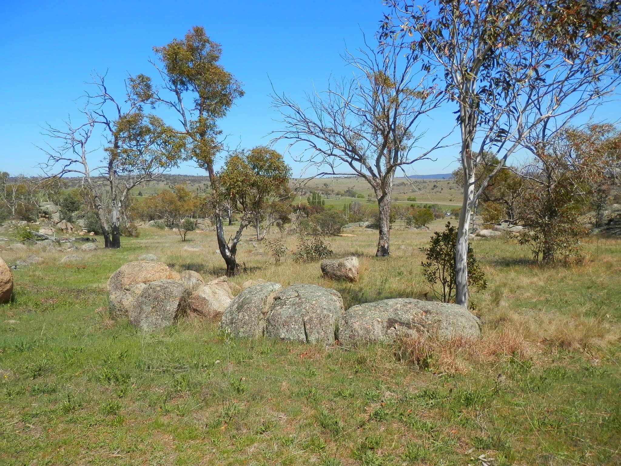 209 Dalgety Road, Berridale, Berridale - Image 1
