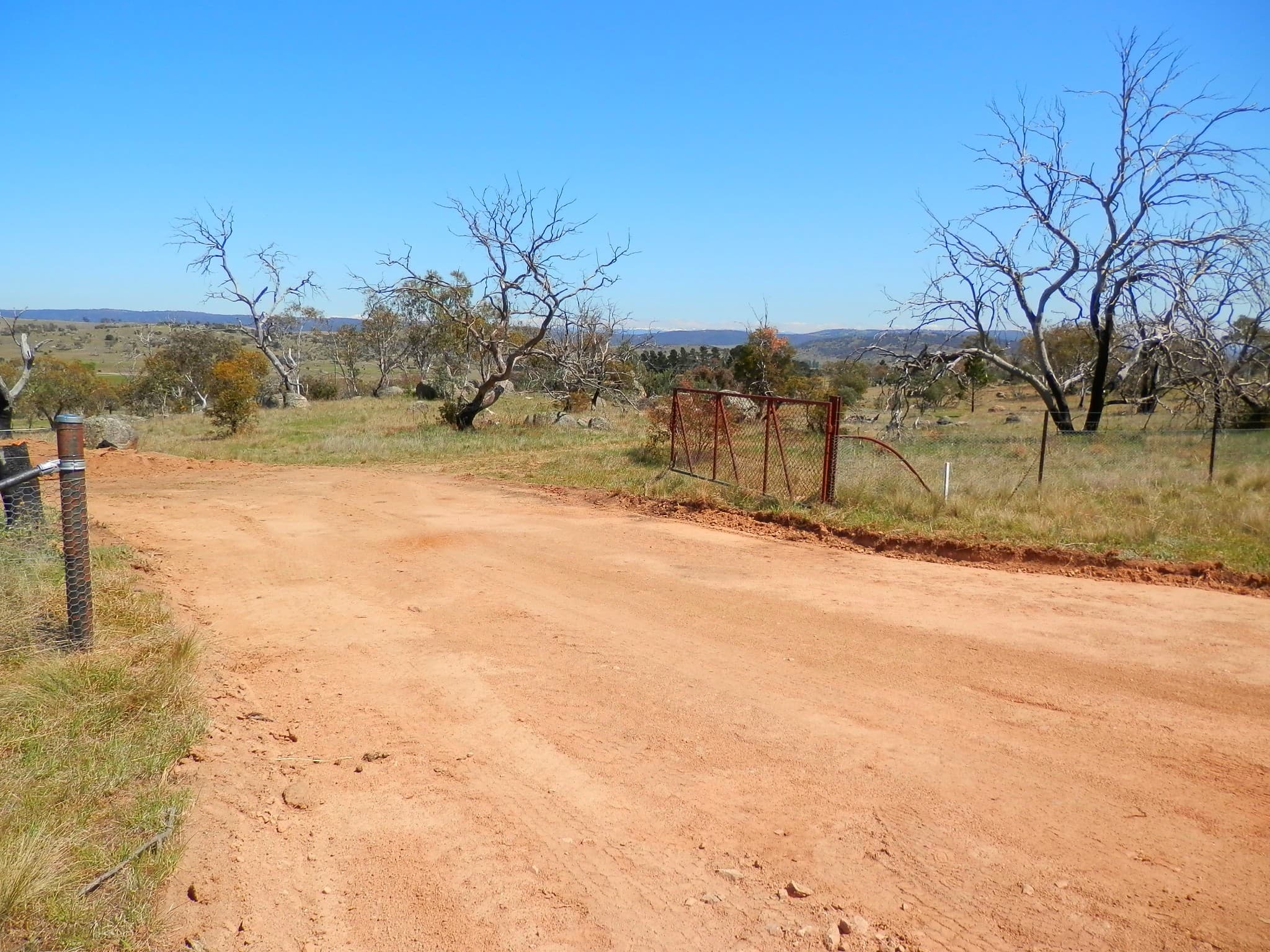 209 Dalgety Road, Berridale, Berridale - Thumbnail 2