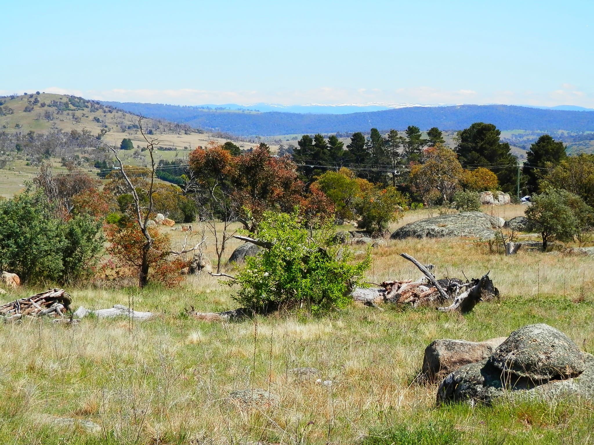 209 Dalgety Road, Berridale, Berridale - Thumbnail 5