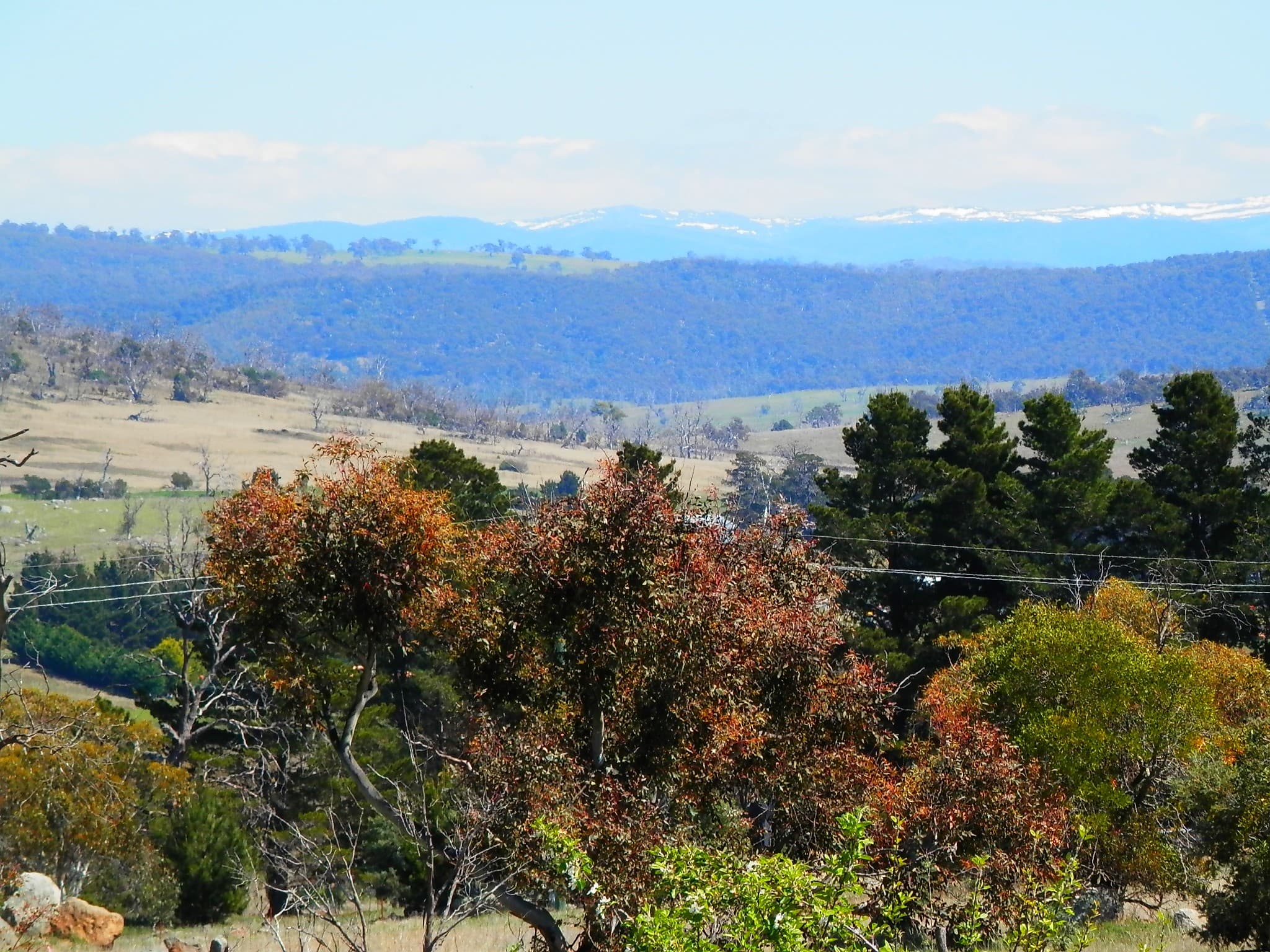 209 Dalgety Road, Berridale, Berridale - Thumbnail 3