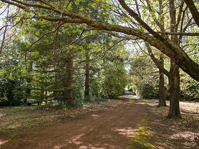 158 Hop Valley Road, Blackwood Creek, Blackwood Creek - Thumbnail 7