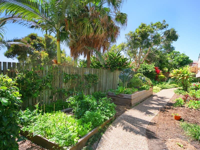 3/123 Coolum Terrace, Coolum Beach, Coolum Beach - Thumbnail 5
