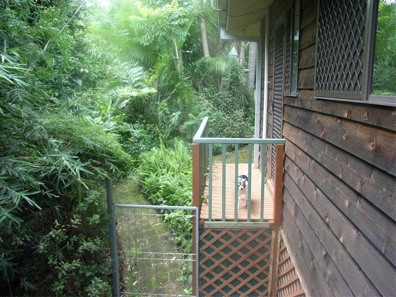 23 Tamarind  Drive, Bellingen, Bellingen - Thumbnail 8