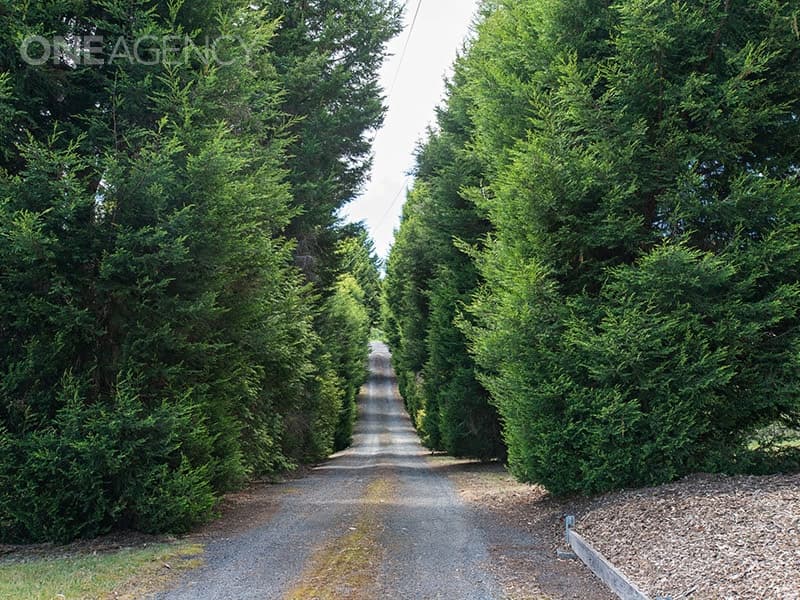 147 Windermere Road, Windermere, Windermere - Thumbnail 4