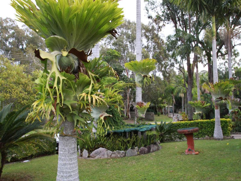 13 Turpentine Avenue, Sandy Beach, Sandy Beach - Thumbnail 4