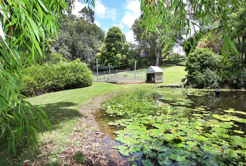 64 Ayrshire Park Drive, Boambee, Boambee - Thumbnail 5