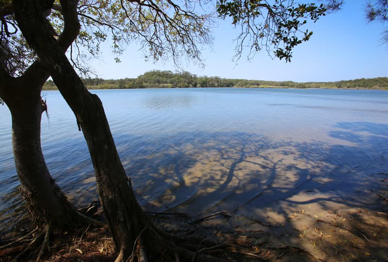 24 Tom Albert Place, Sawtell, Sawtell - Thumbnail 5