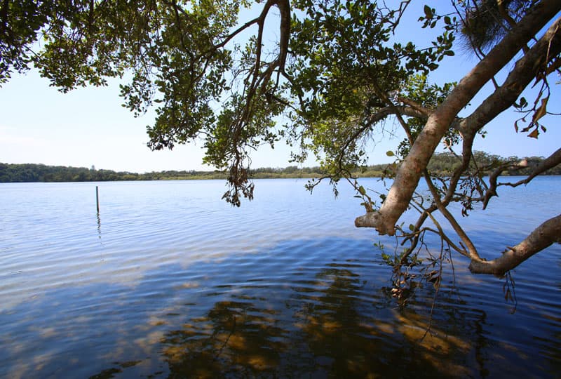 24 Tom Albert Place, Sawtell, Sawtell - Thumbnail 4